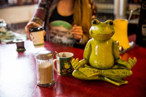 The Pickled Frog - Lismore Accommodation 32