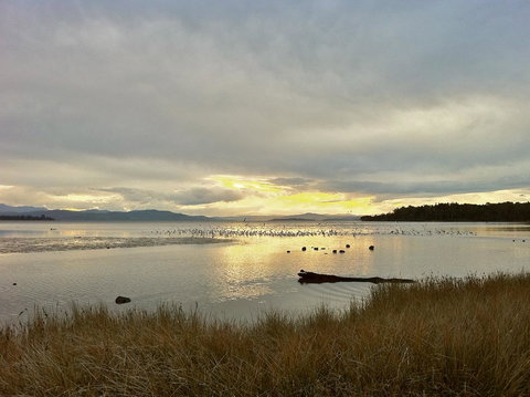 Cloudy Bay Beach House - Lismore Accommodation 11