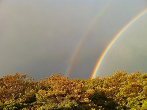 Cloudy Bay Beach House - Lismore Accommodation 44