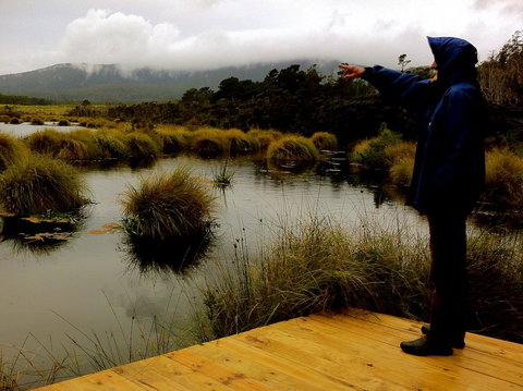 Cloudy Bay Beach House - Lismore Accommodation 35