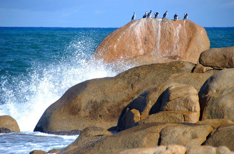 Cloudy Bay Beach House - Lismore Accommodation 29