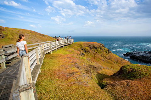 BIG4 Ingenia Holidays Phillip Island - Lismore Accommodation 19