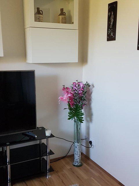 Romsey Homestay - Lismore Accommodation 8