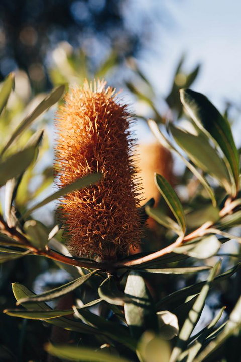 Dunkeld Studio Accommodation - Lismore Accommodation 19