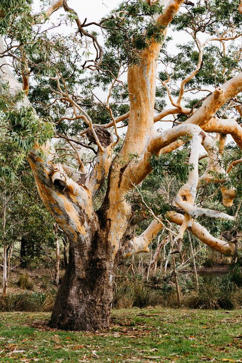 Dunkeld Studio Accommodation - Lismore Accommodation 22