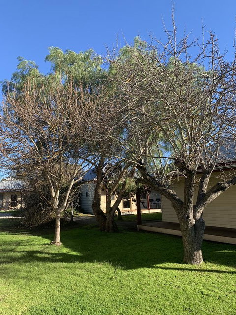 Dunkeld Studio Accommodation - Lismore Accommodation 4