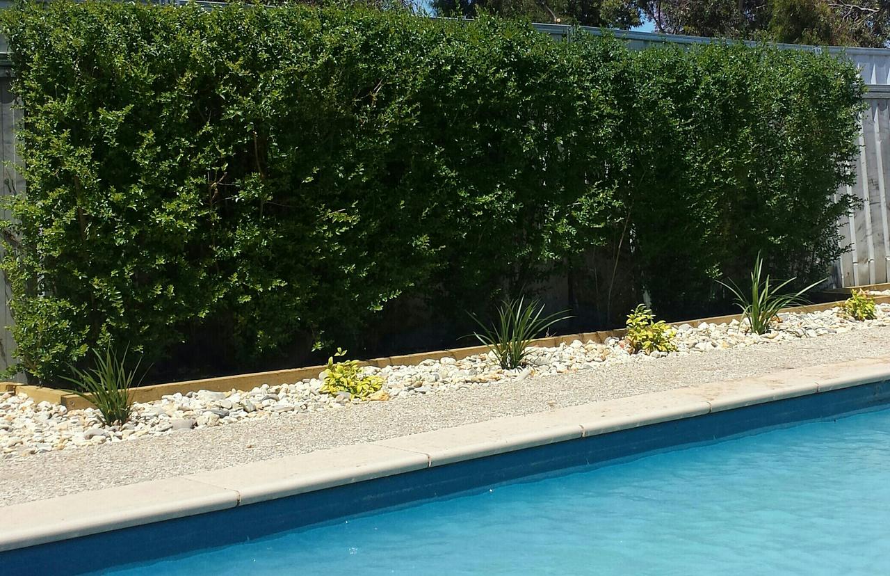 Annuello VIC Lismore Accommodation