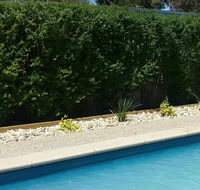 Robinvale Bridge Motel - Lismore Accommodation