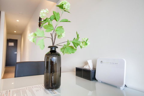 Southern Cross Serviced Apartments - Lismore Accommodation 8