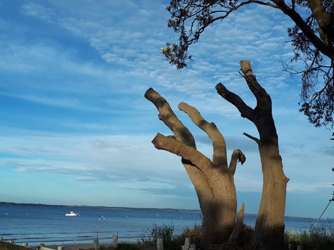 Apartments In Phillip Island Towers - Block C - Lismore Accommodation 10