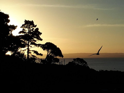 Apartments In Phillip Island Towers - Block C - Lismore Accommodation 19