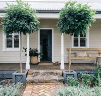 Acre of Roses - Lismore Accommodation