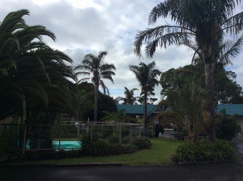 Tropicana Motor Inn - Lismore Accommodation 37