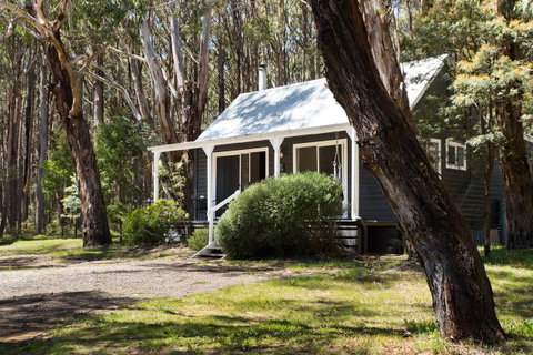 Bodhi Daylesford - Lismore Accommodation 26
