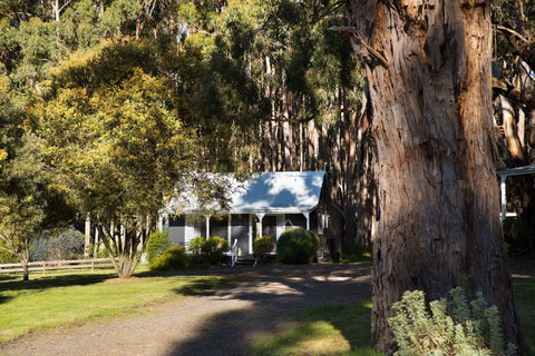 Bodhi Daylesford - Lismore Accommodation 8