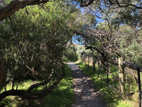 Beautiful, Cosy And Quiet - Lismore Accommodation 20