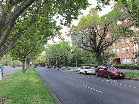 Fawkner Apartment Bay-view 4 - Lismore Accommodation 18