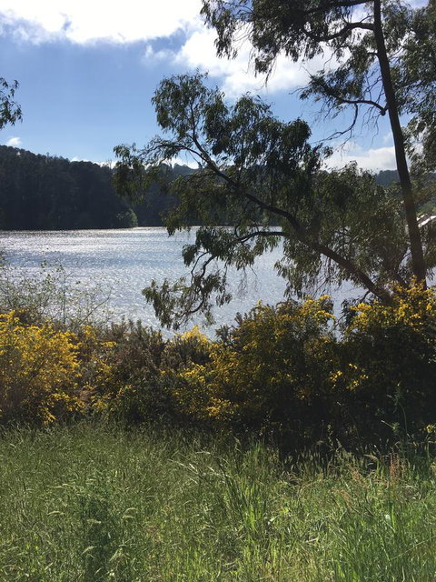Lakeside Conti Villas - Lismore Accommodation 8
