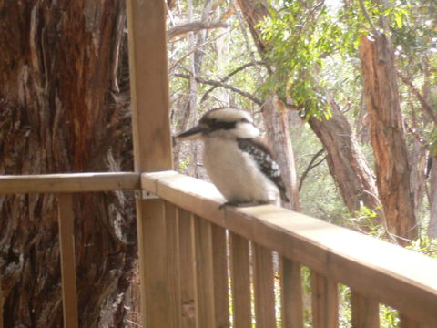 The Ledge Holiday House - Lismore Accommodation 0