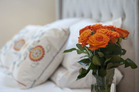 The Nest At Gundaroo - Lismore Accommodation 1