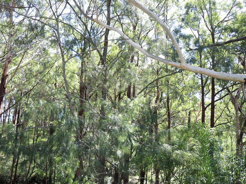 The Shaka Shack - Lismore Accommodation 1