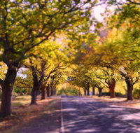 The Shelter Shed Garden Studio Apartment - Lismore Accommodation