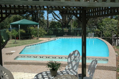 The Tree Motel - Lismore Accommodation 0