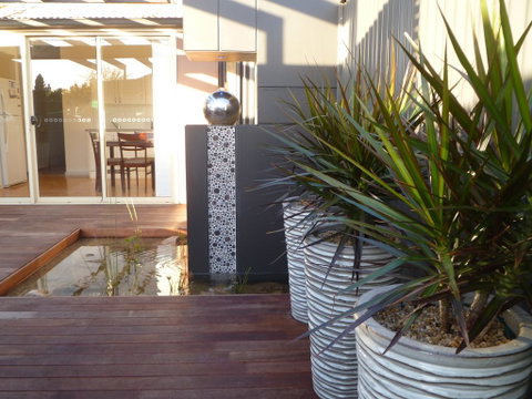 The Wet Lizard - Lismore Accommodation 0