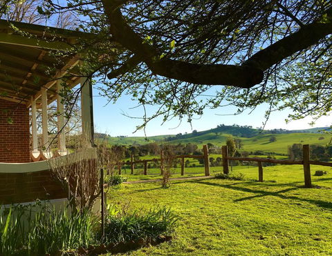 Tracton Homestead - Lismore Accommodation 1