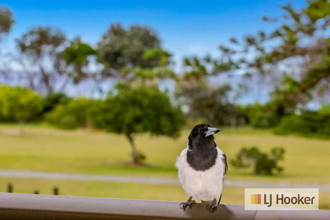 TRADEWINDS 1 - Lismore Accommodation 1
