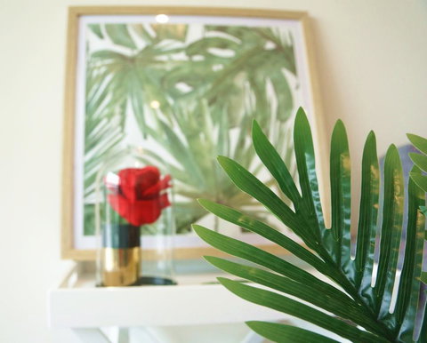 Tropical Delight 1 Bedroom Apt - Lismore Accommodation 0