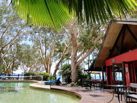Turtle Cove Beach Resort - Adults Only LGBTQIA & Allies - Lismore Accommodation 0