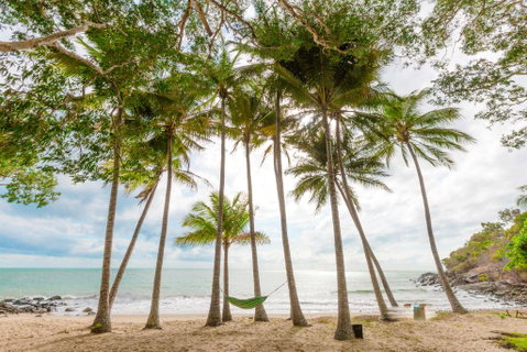 Turtle Cove Beach Resort - Adults Only LGBTQIA & Allies - Lismore Accommodation 3