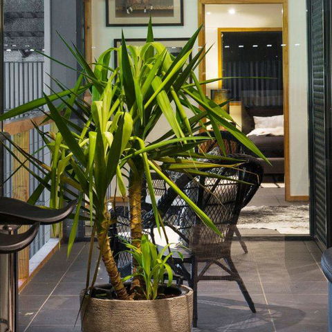 Val D'Argent Equestrian Centre - Lismore Accommodation 2