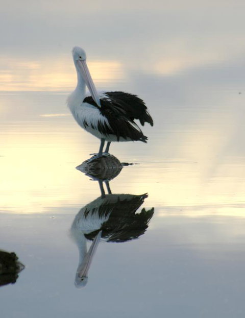 Wanderers Rest Of Kangaroo Island - Lismore Accommodation 3