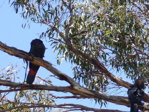 Wanderers Rest Of Kangaroo Island - Lismore Accommodation 2
