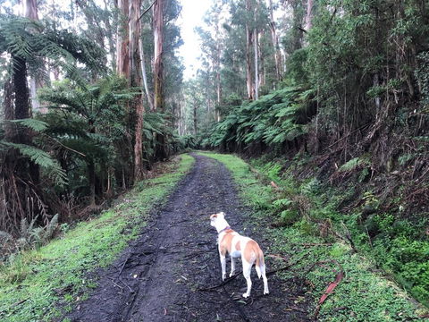 Warby Weekender - Lismore Accommodation 3