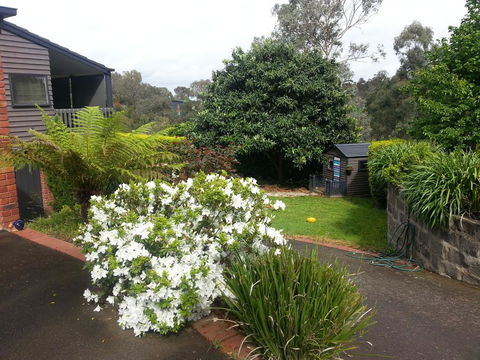 Warrandyte Retreat Guest House - Lismore Accommodation 0