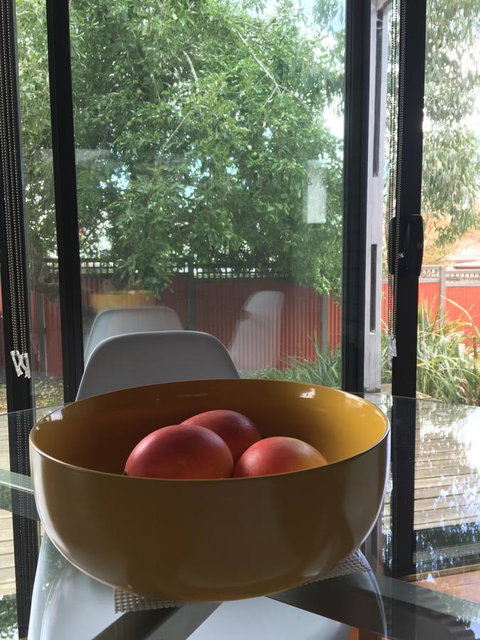 Daydream Cottage - Lismore Accommodation 19