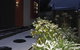 Daydream Cottage - thumb 17