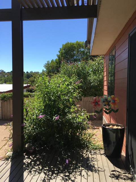 Daydream Cottage - Lismore Accommodation 10