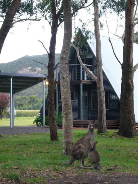 The A-Frame - Lismore Accommodation 1