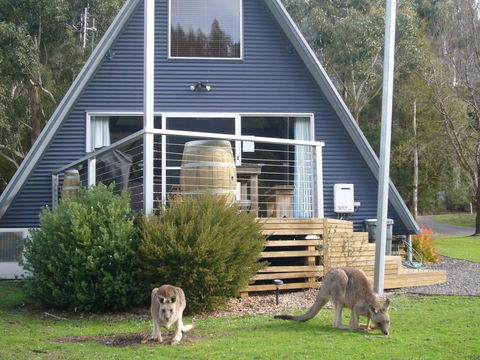 The A-Frame - Lismore Accommodation 10