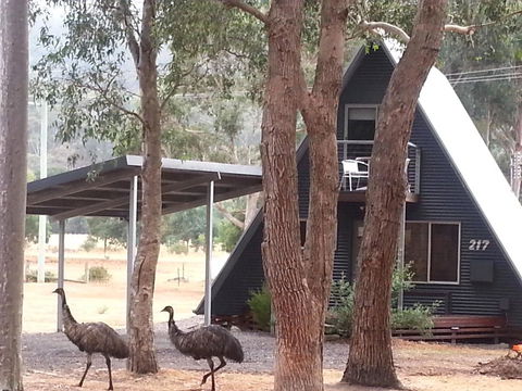 The A-Frame - Lismore Accommodation 9