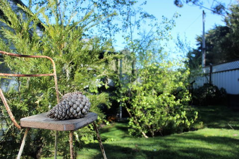 Cottage 4A - Lismore Accommodation 13