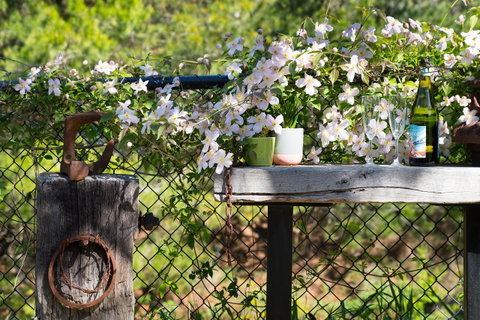 Cottage 4A - Lismore Accommodation 4