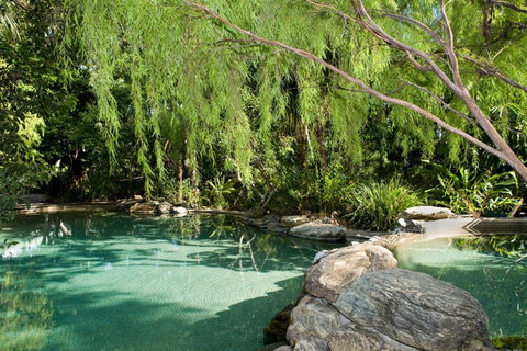 Thala Beach Nature Reserve - Lismore Accommodation 30