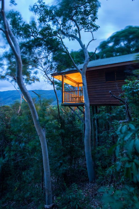 Thala Beach Nature Reserve - Lismore Accommodation 19