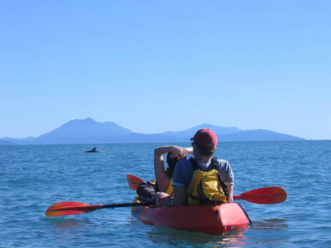 Thala Beach Nature Reserve - Lismore Accommodation 44