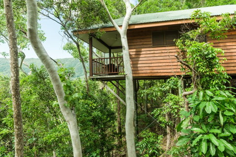 Thala Beach Nature Reserve - Lismore Accommodation 17